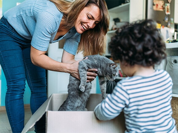 Katze und Baby | Baby&me